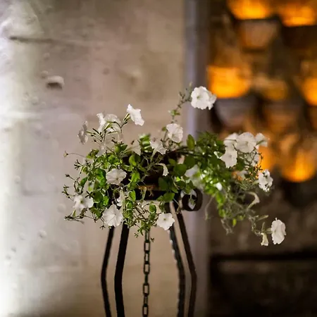 The Saddle Cappadocia Cave Hotel Urgup