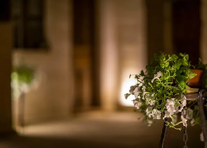 The Saddle Cappadocia Cave *